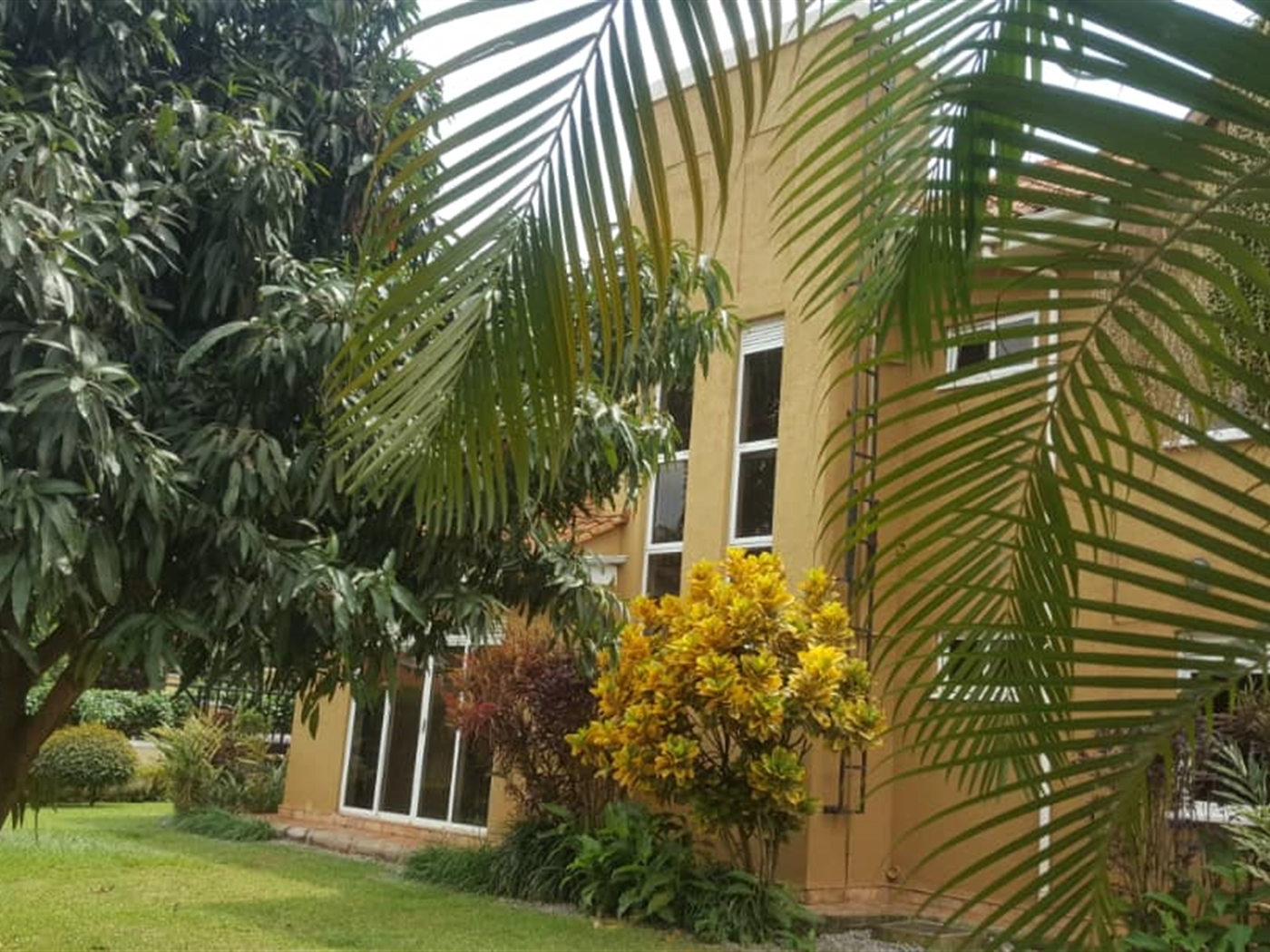 Storeyed house for rent in Muyenga Kampala