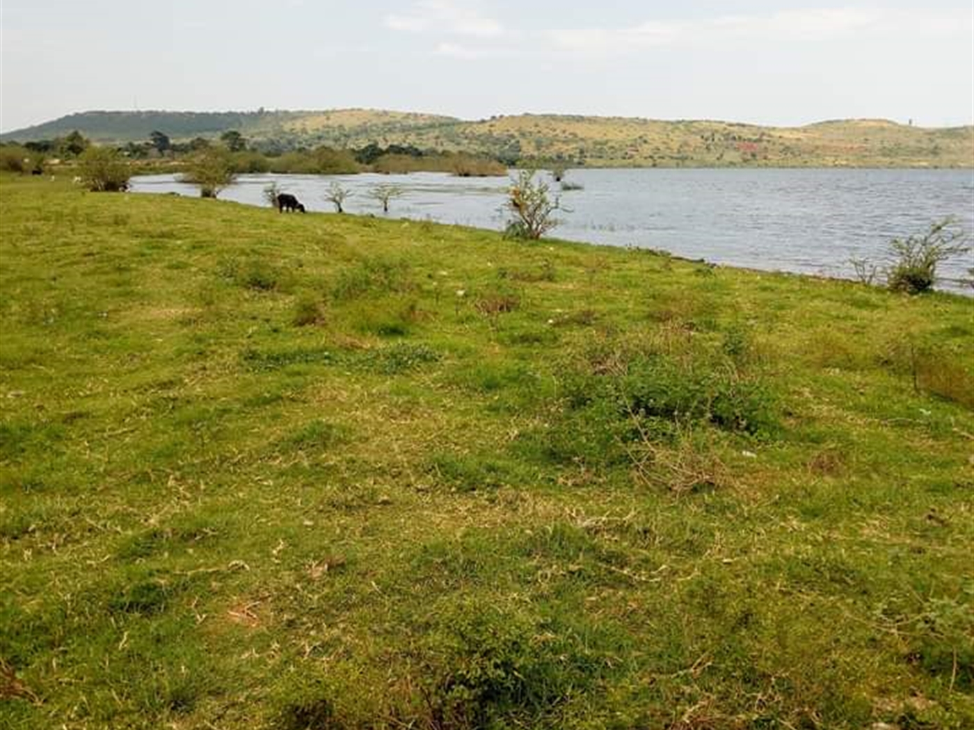 Multipurpose Land for sale in Katosi Mukono