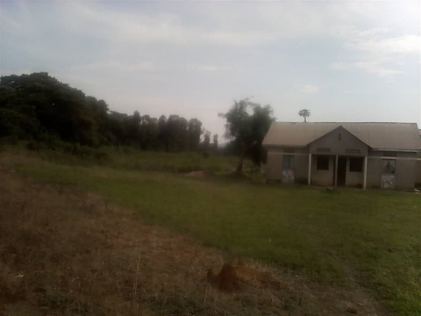 Multipurpose Land for sale in Kigo Wakiso