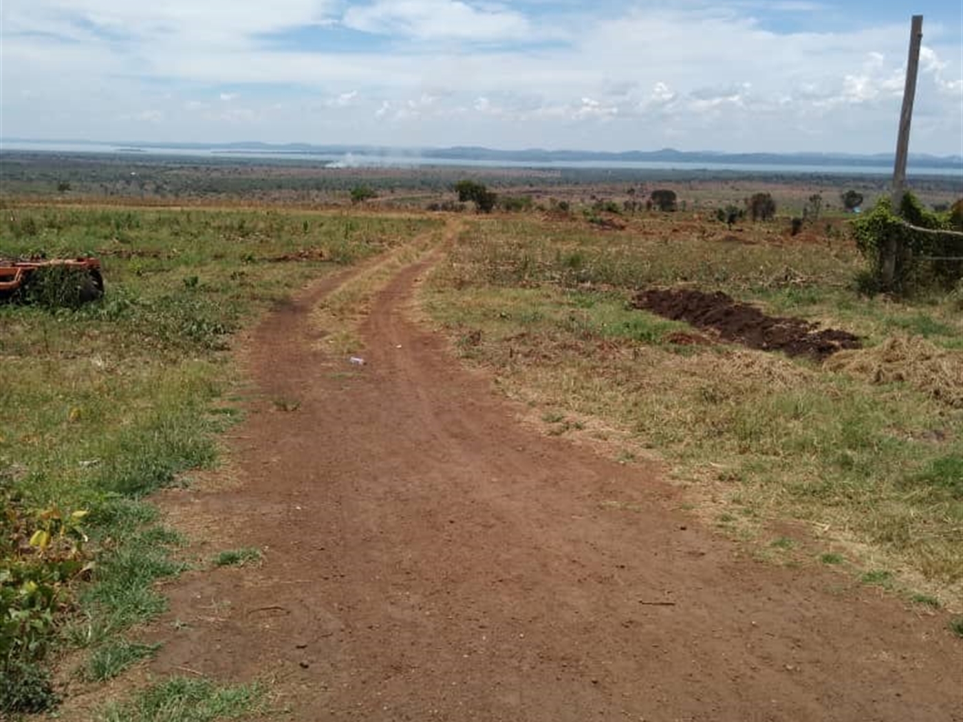 Agricultural Land for sale in Nakasongola Luweero
