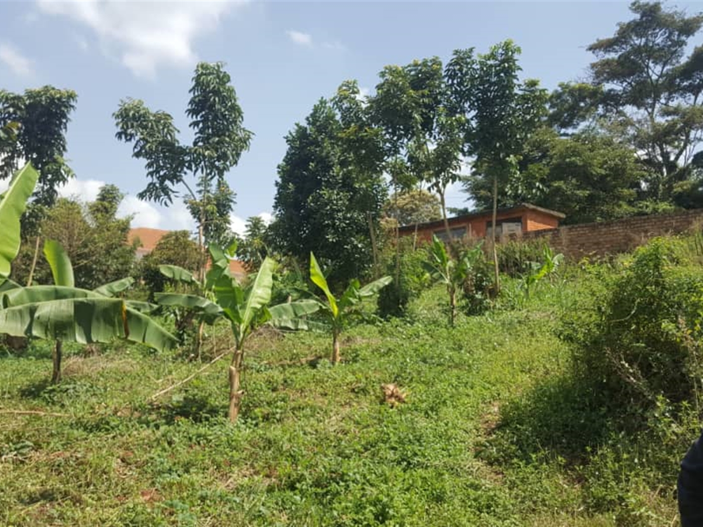 Residential Land for sale in Kigo Wakiso