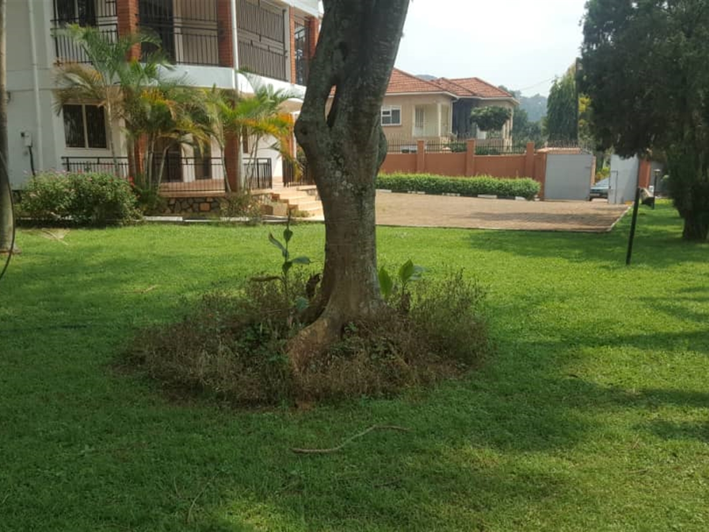 Mansion for rent in Muyenga Kampala