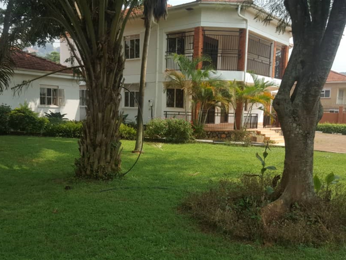 Mansion for rent in Muyenga Kampala