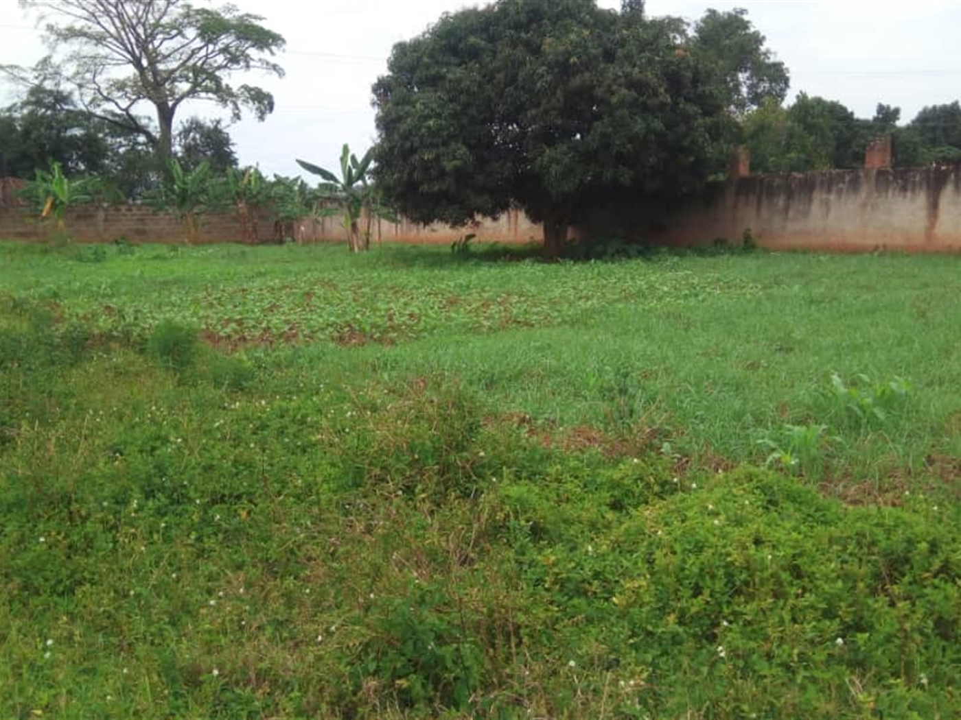 Multipurpose Land for sale in Kawuku Kampala