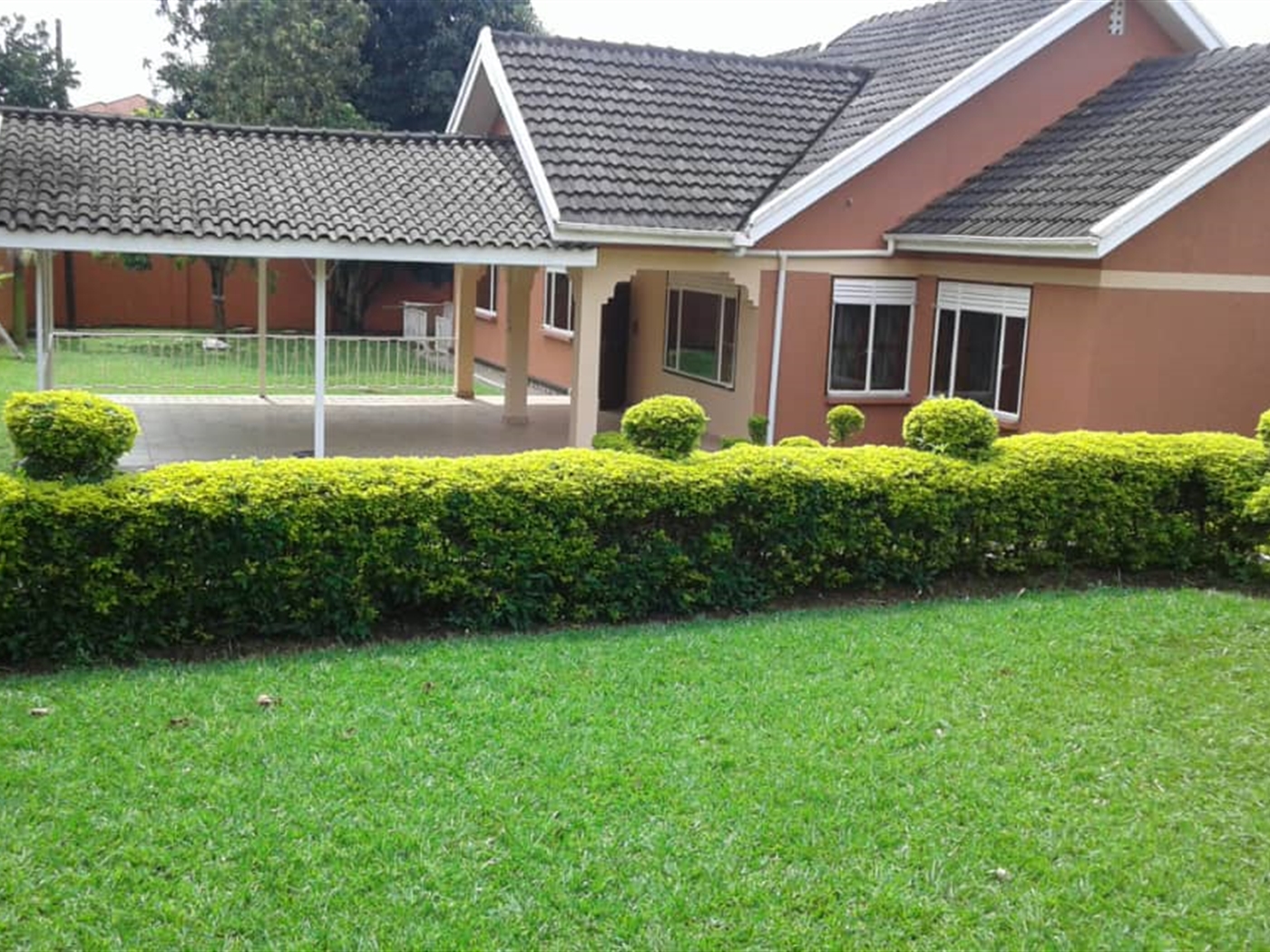 Bungalow for rent in Naguru Kampala