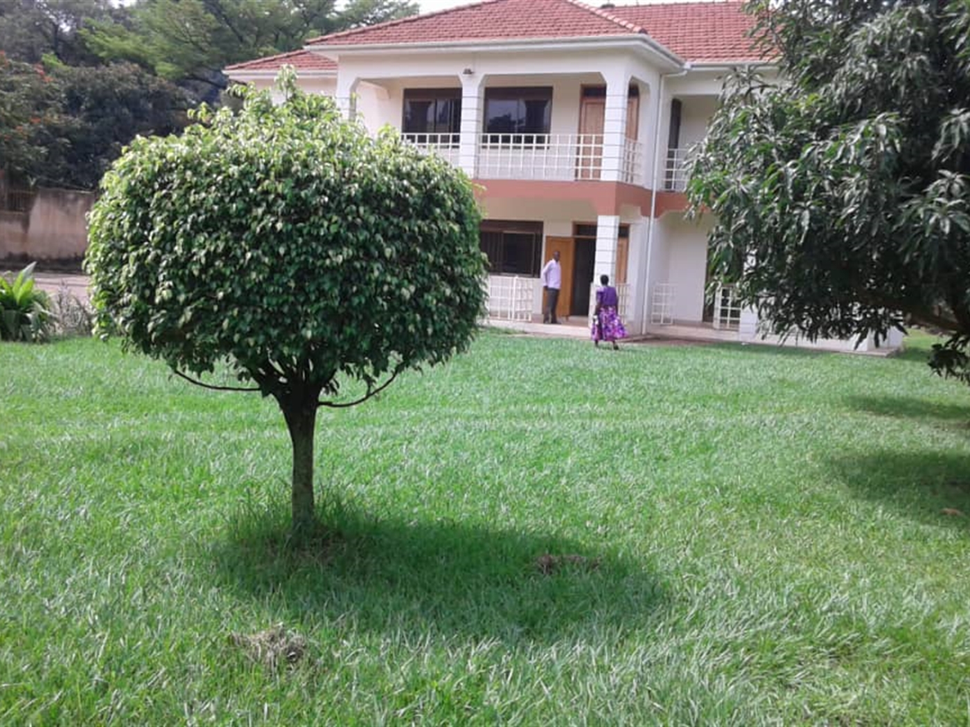 Mansion for rent in Naguru Kampala