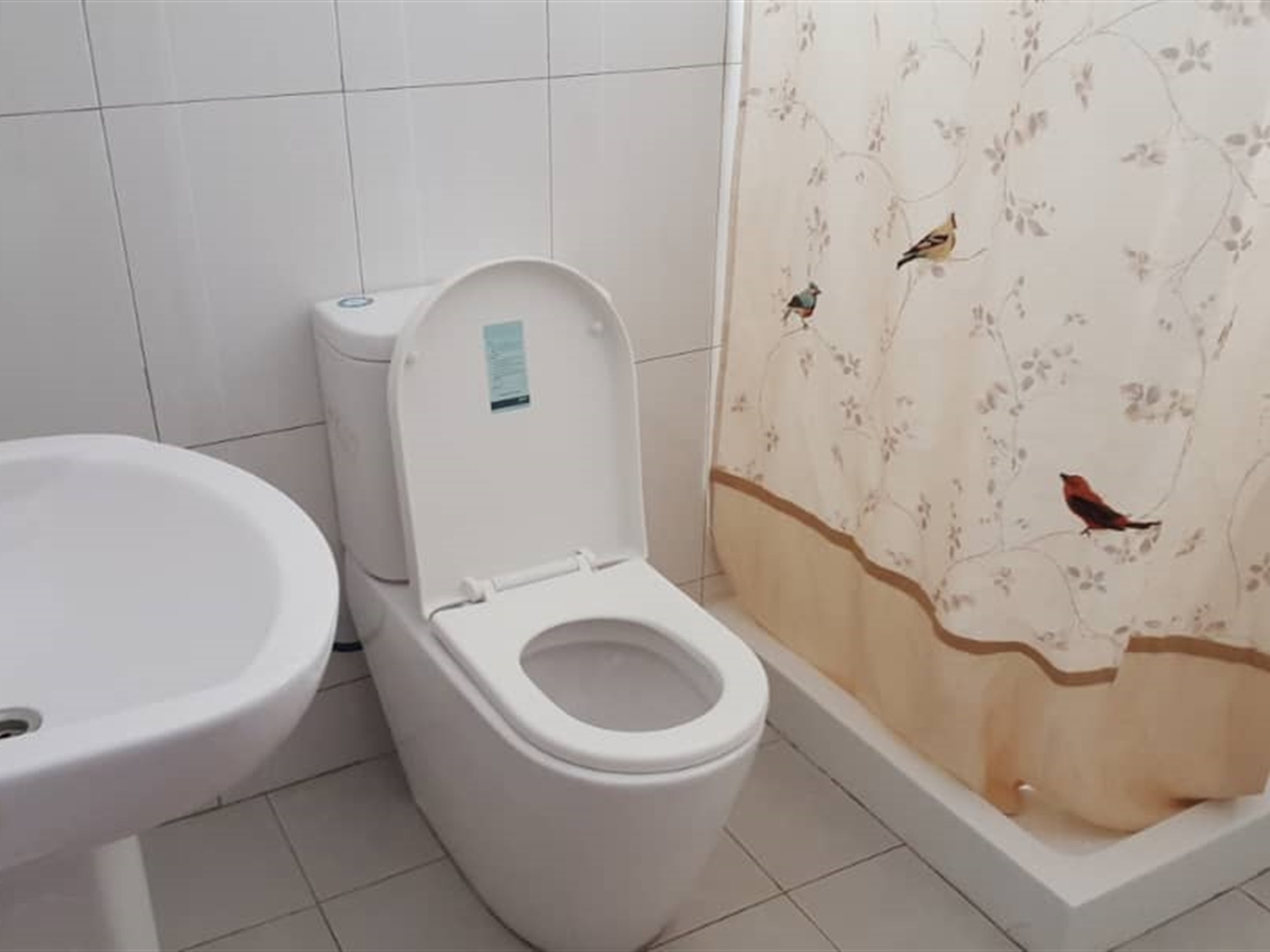 Bathroom (Toilet)