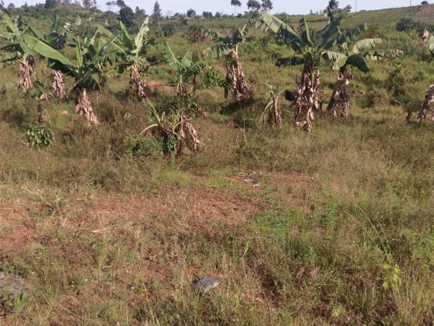 Residential Land for sale in Nakawuka Wakiso