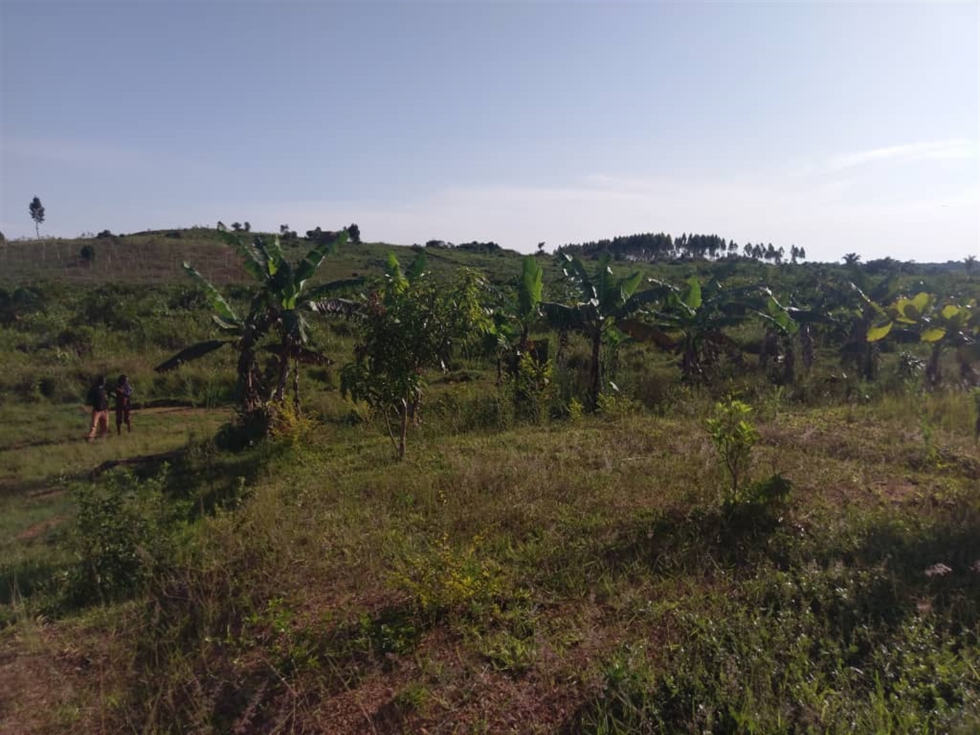 Residential Land for sale in Nakawuka Wakiso