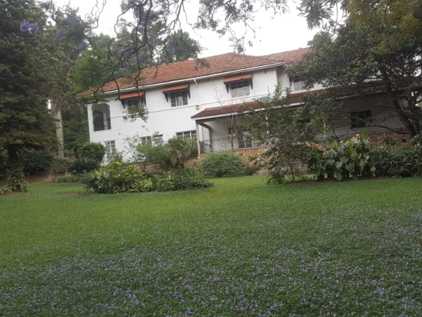 Mansion for rent in Nakasero Kampala