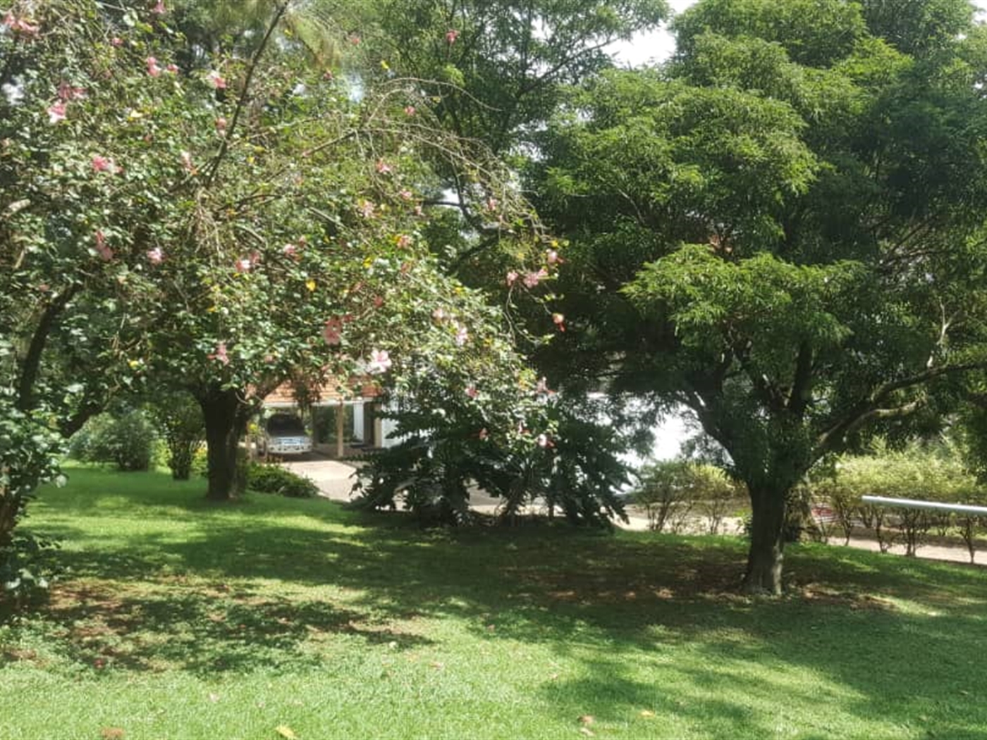 Mansion for rent in Nakasero Kampala