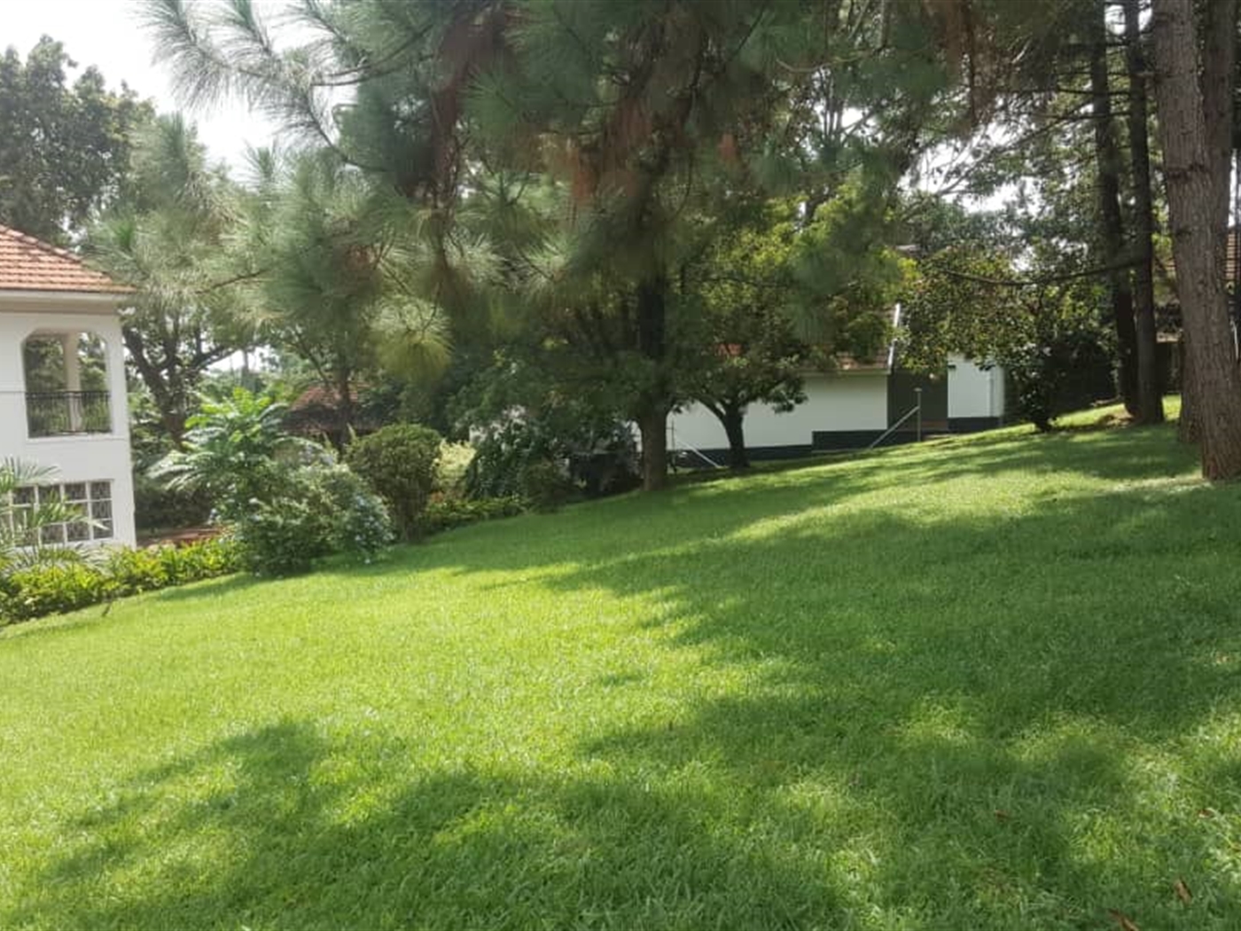 Mansion for rent in Nakasero Kampala