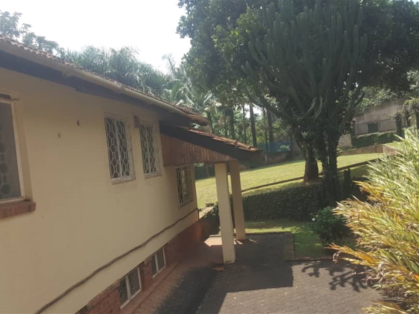 Mansion for rent in Kololo Kampala