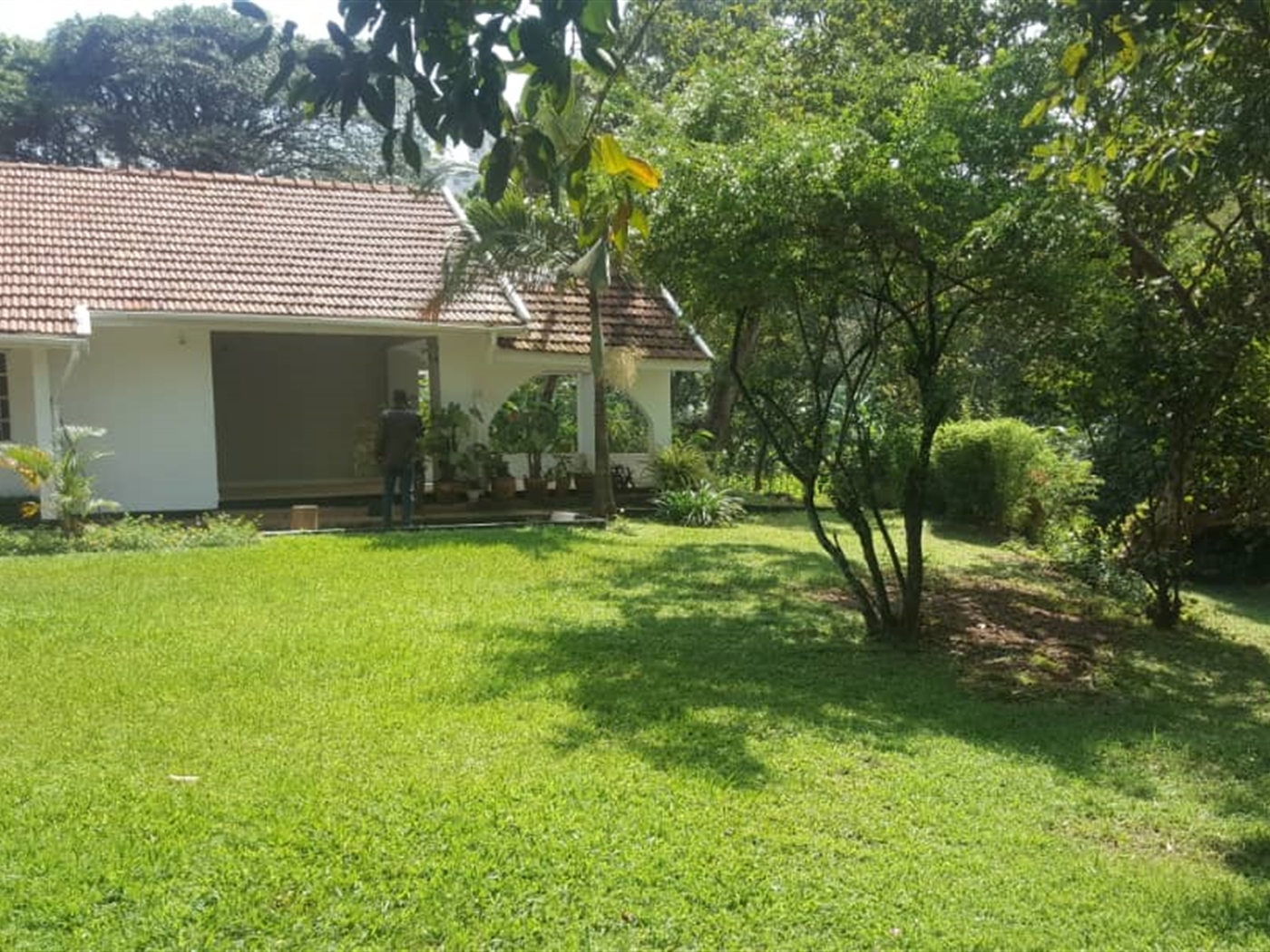 Bungalow for rent in Kololo Kampala