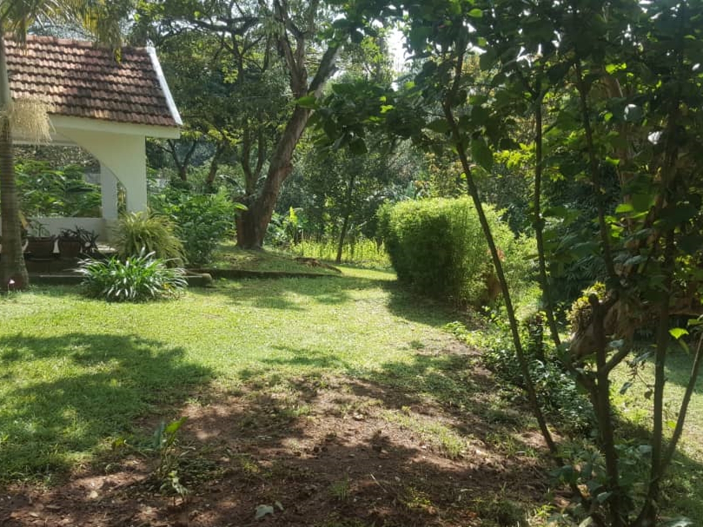 Bungalow for rent in Kololo Kampala