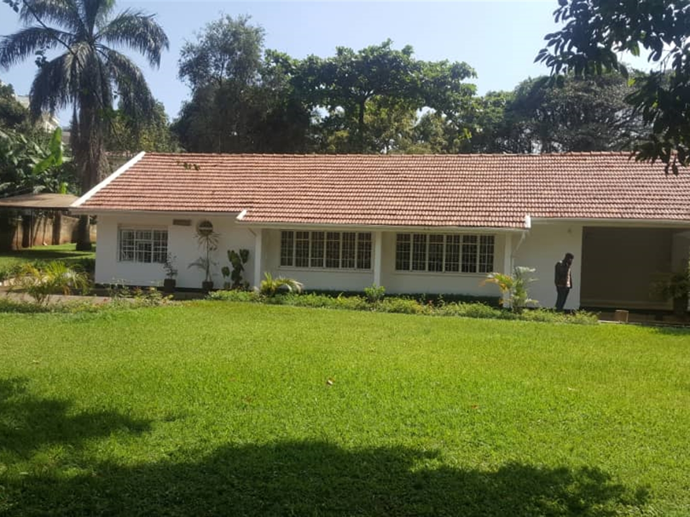 Bungalow for rent in Kololo Kampala