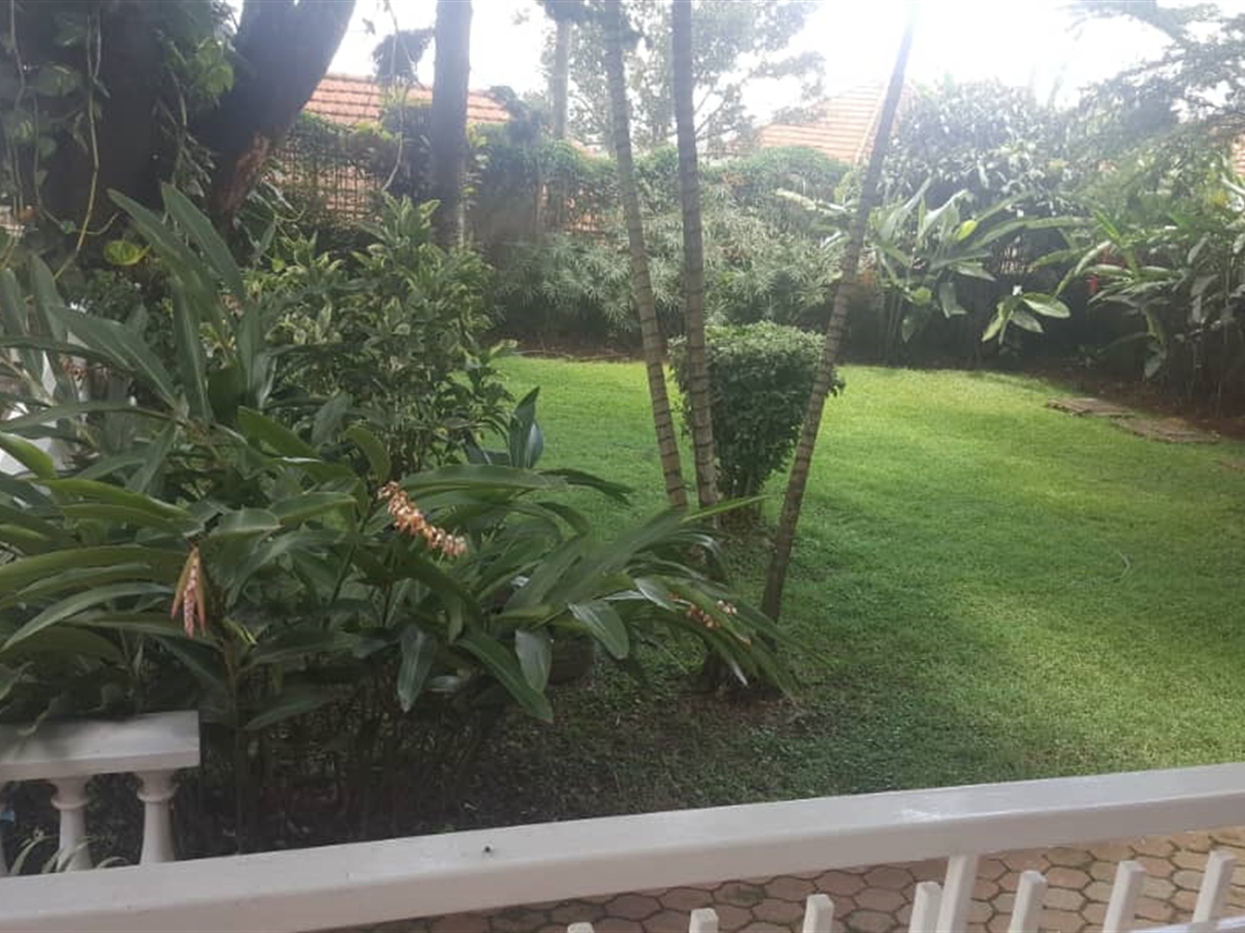 Mansion for rent in Buziga Kampala