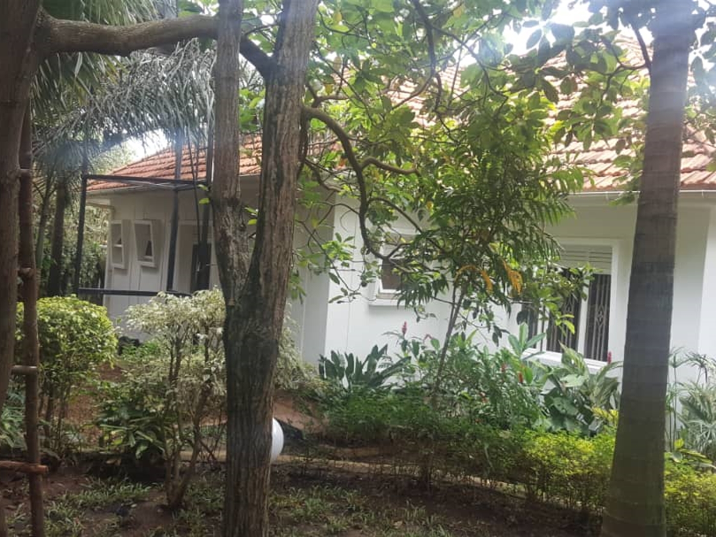 Bungalow for rent in Muyenga Kampala