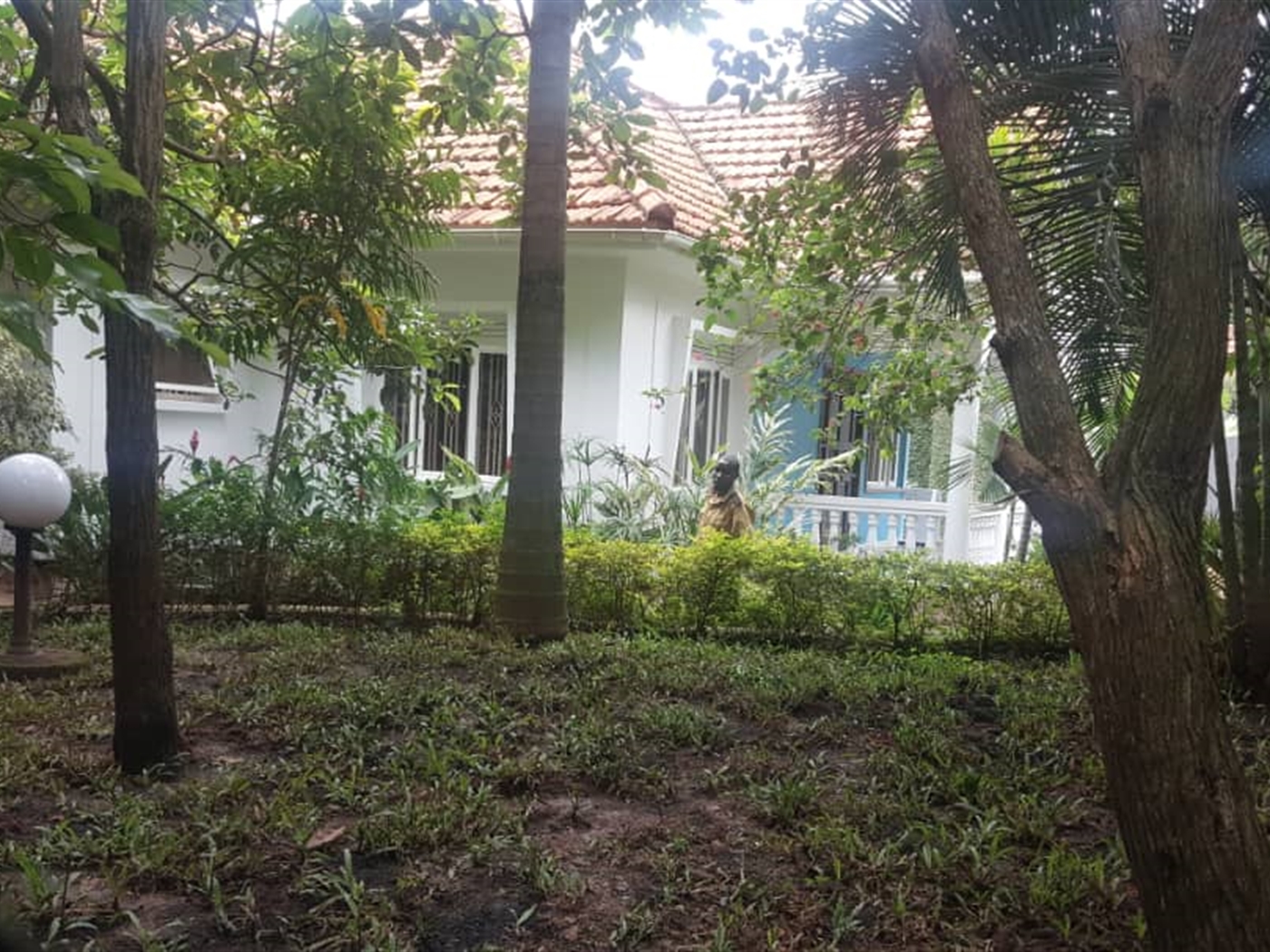 Bungalow for rent in Muyenga Kampala