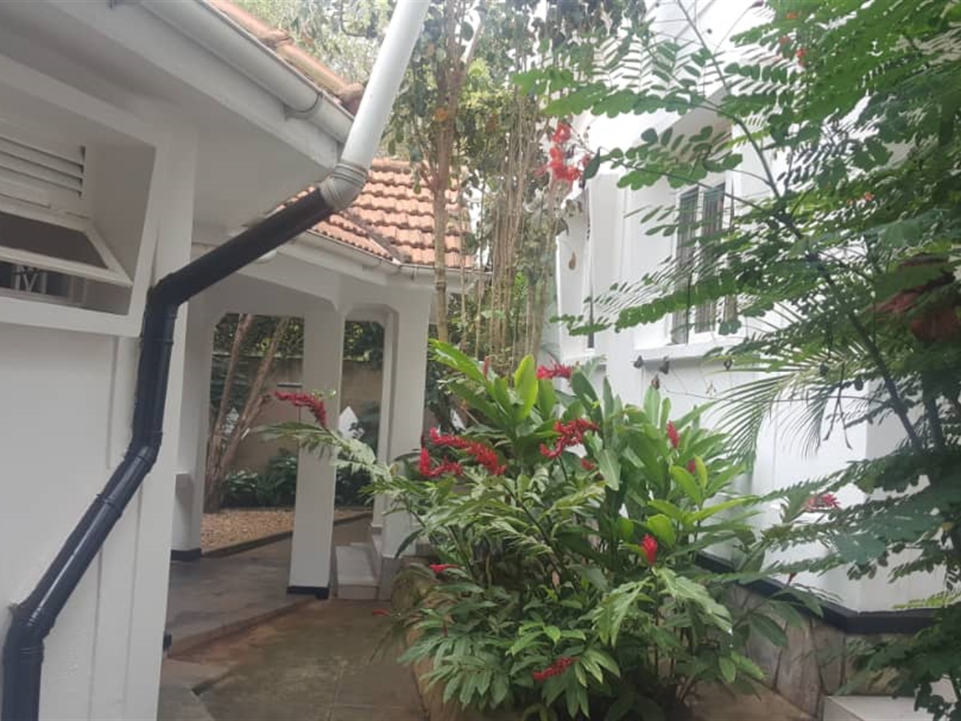 Bungalow for rent in Muyenga Kampala