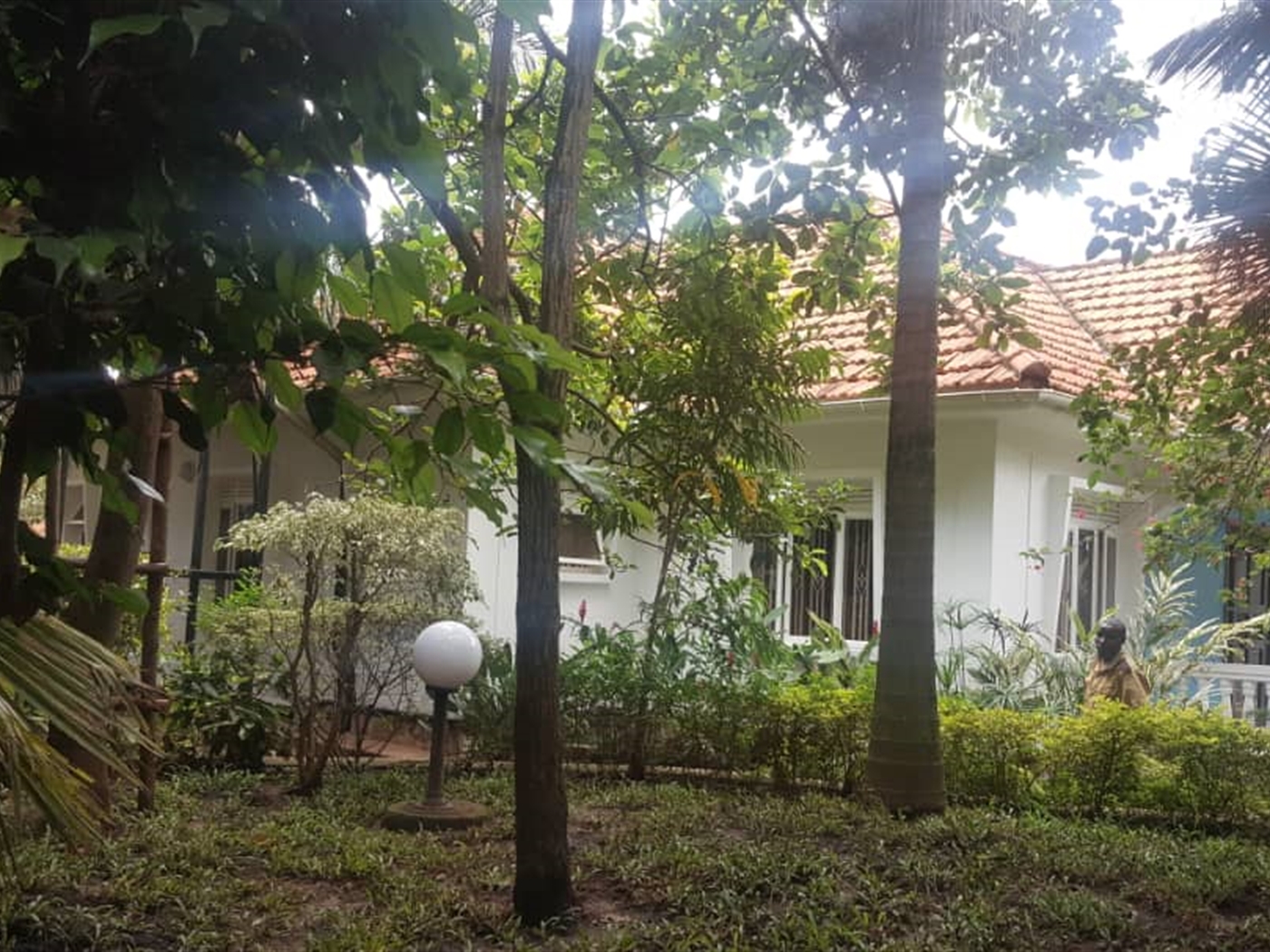 Bungalow for rent in Muyenga Kampala