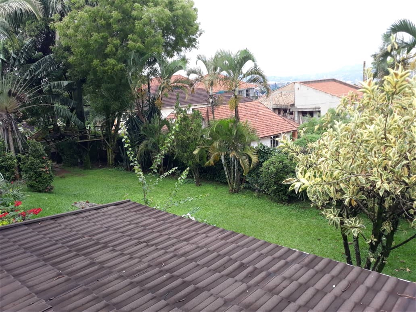 Mansion for rent in Muyenga Kampala