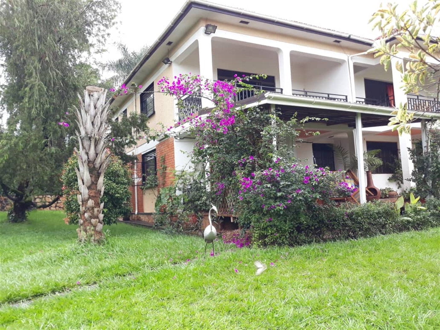 Mansion for rent in Muyenga Kampala