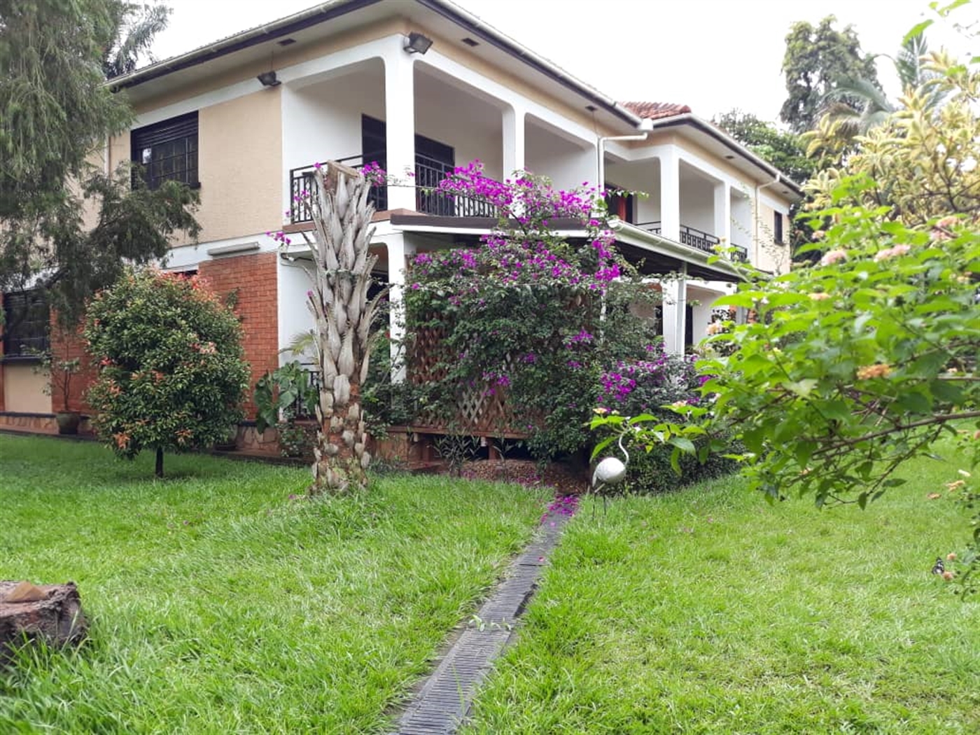 Mansion for rent in Muyenga Kampala