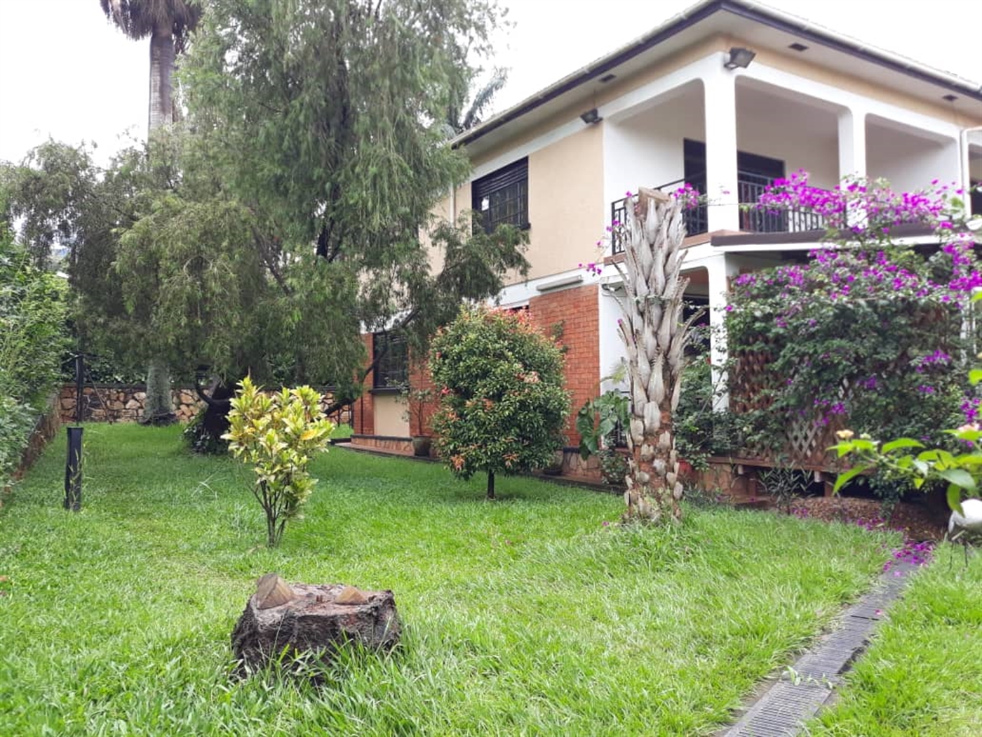 Mansion for rent in Muyenga Kampala