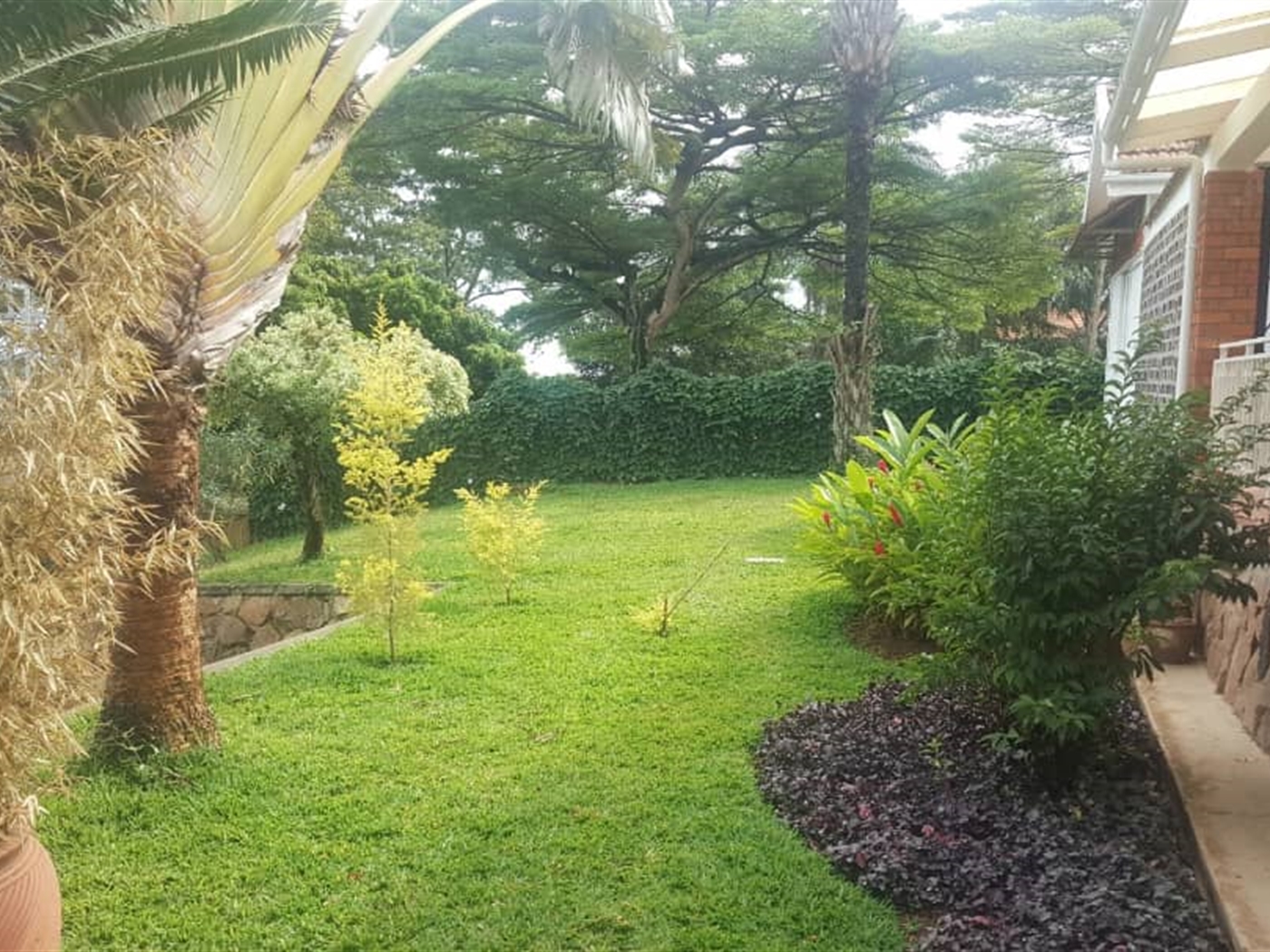 Bungalow for rent in Munyonyo Kampala