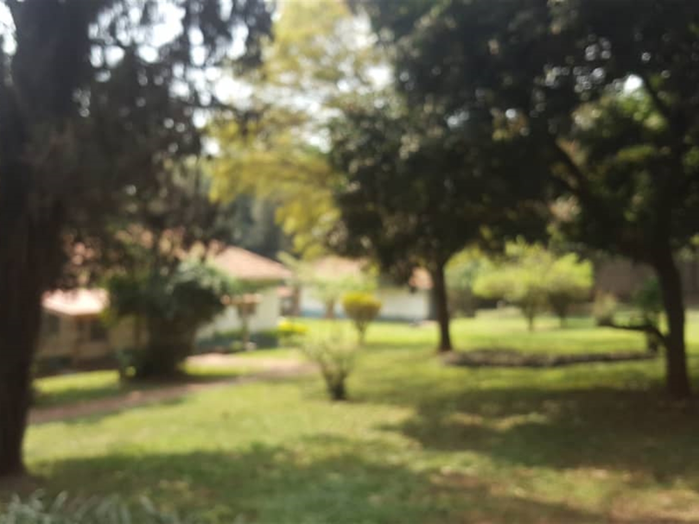 Mansion for sale in Kololo Kampala