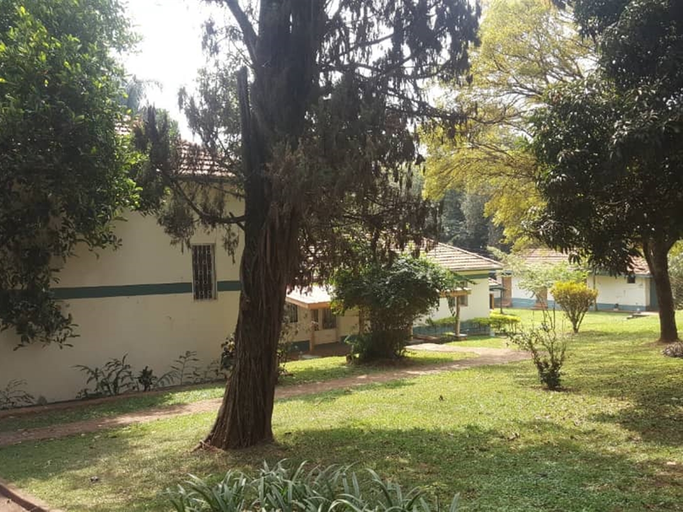 Mansion for sale in Kololo Kampala