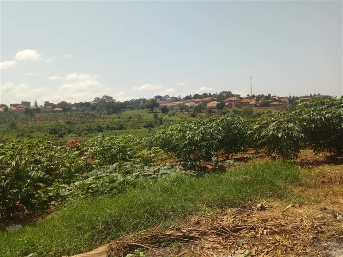 Residential Land for sale in Kyaliwajjala Wakiso