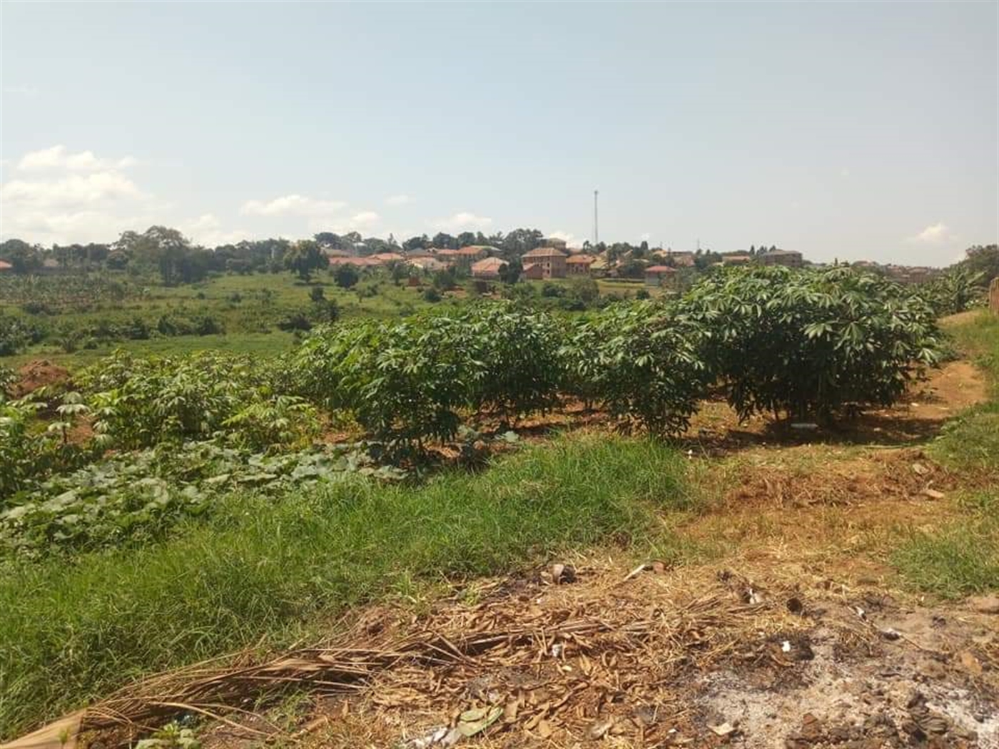 Residential Land for sale in Kyaliwajjala Wakiso