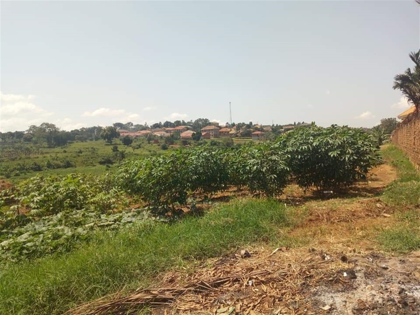 Residential Land for sale in Kyaliwajjala Wakiso