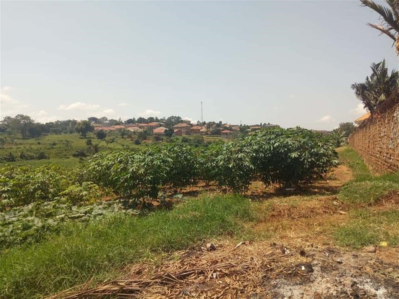 Residential Land for sale in Kyaliwajjala Wakiso