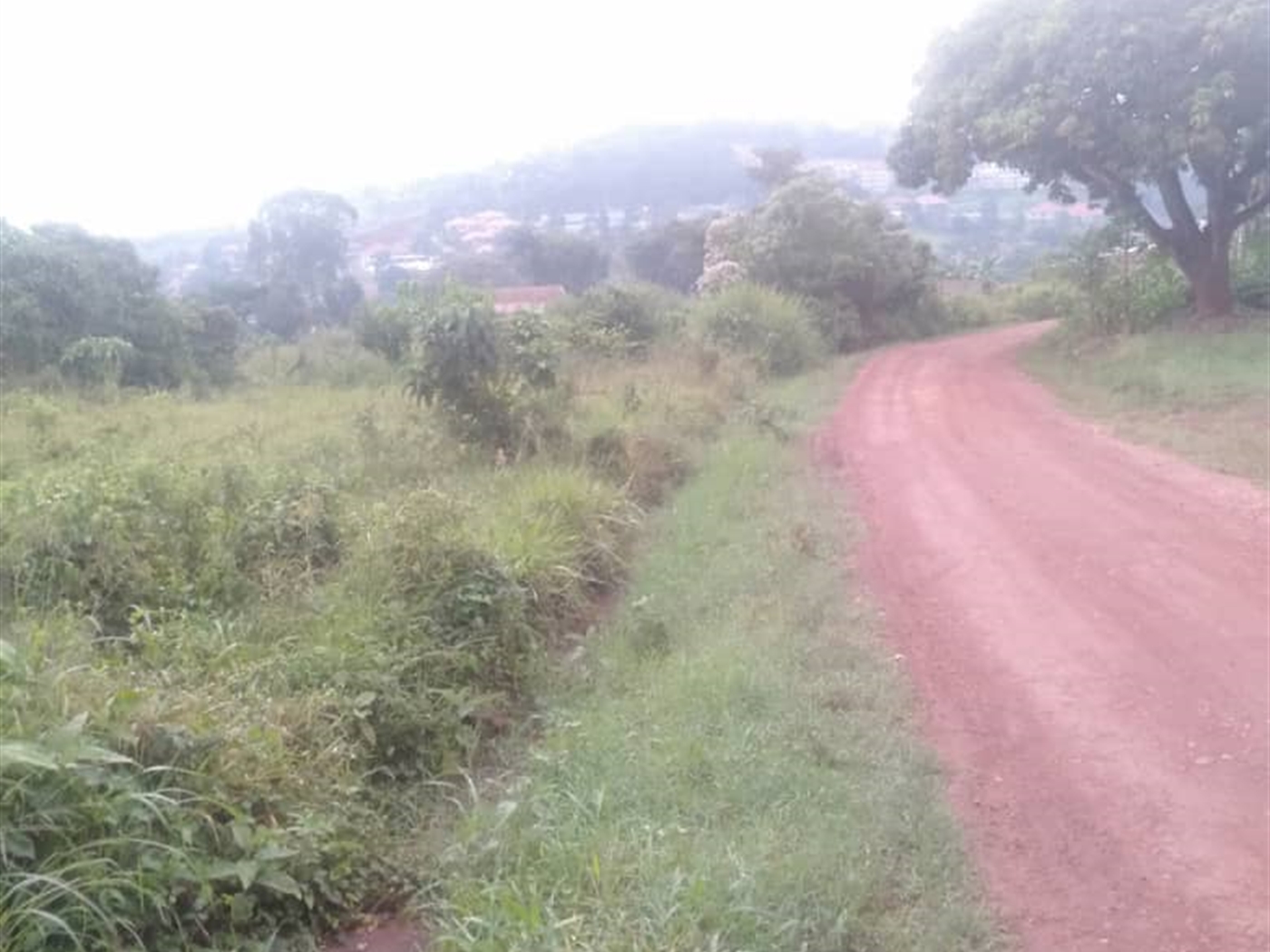 Residential Land for sale in Bwebajja Wakiso