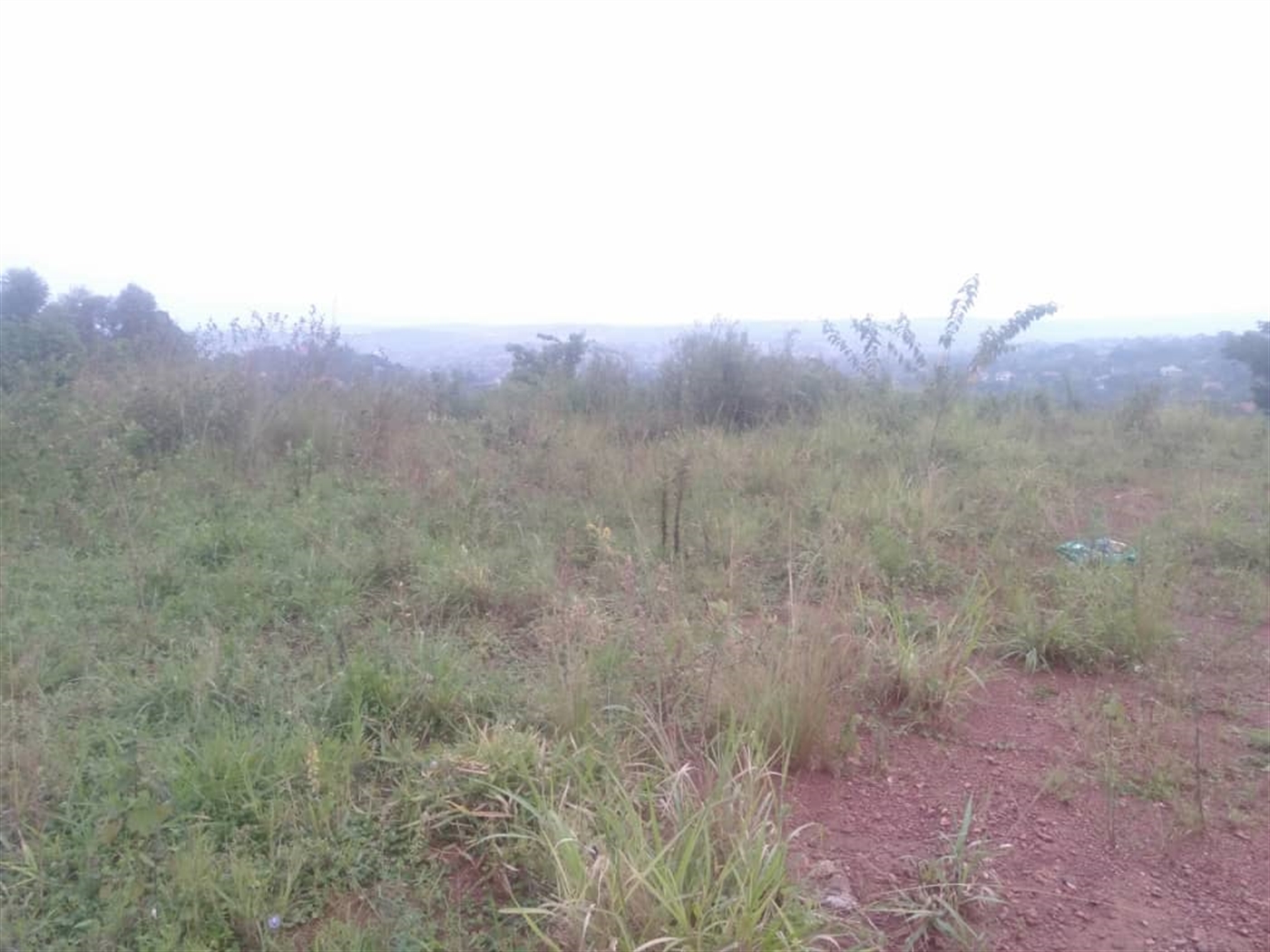 Residential Land for sale in Bwebajja Wakiso