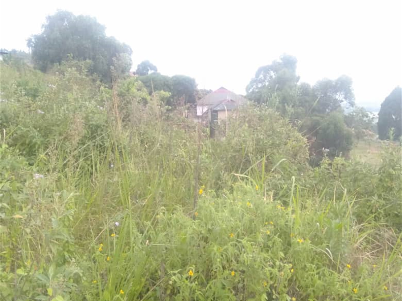 Residential Land for sale in Bwebajja Wakiso