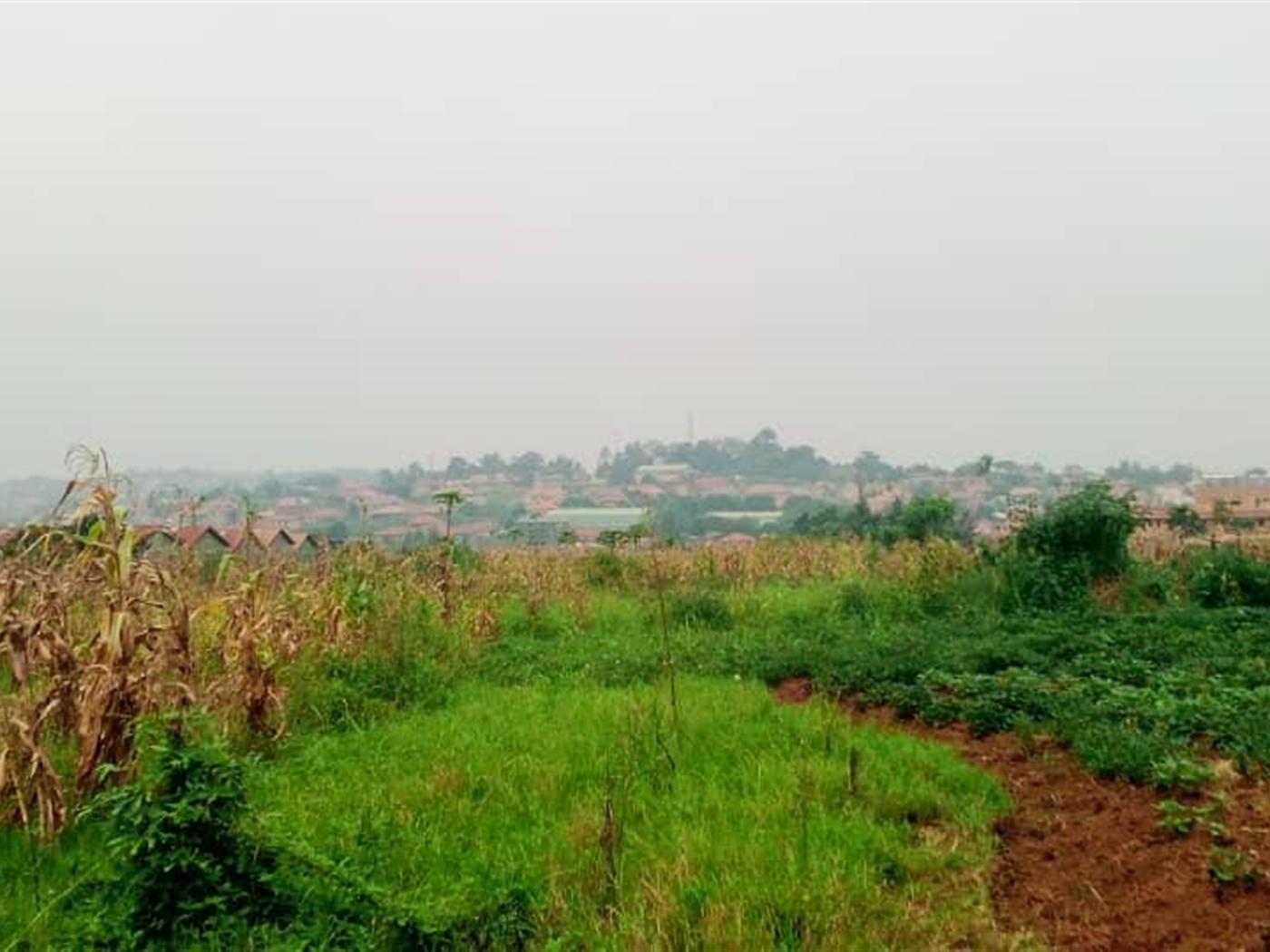 Multipurpose Land for sale in Bweyogerere Wakiso