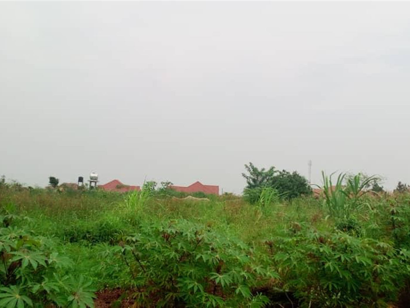 Multipurpose Land for sale in Bweyogerere Wakiso