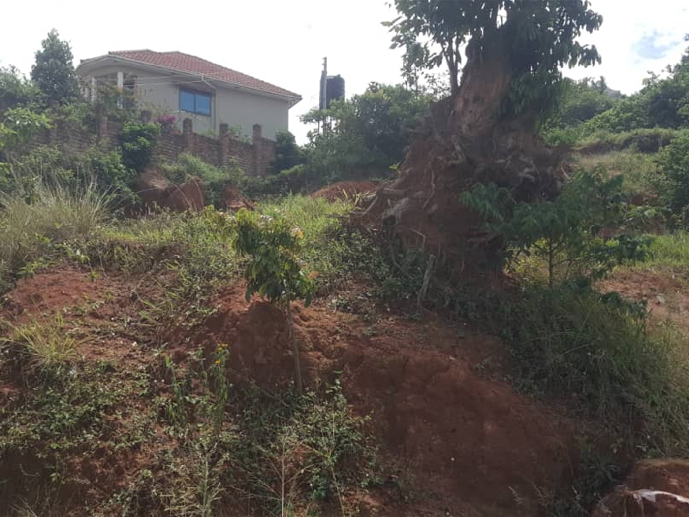 Residential Land for sale in Konge Kampala