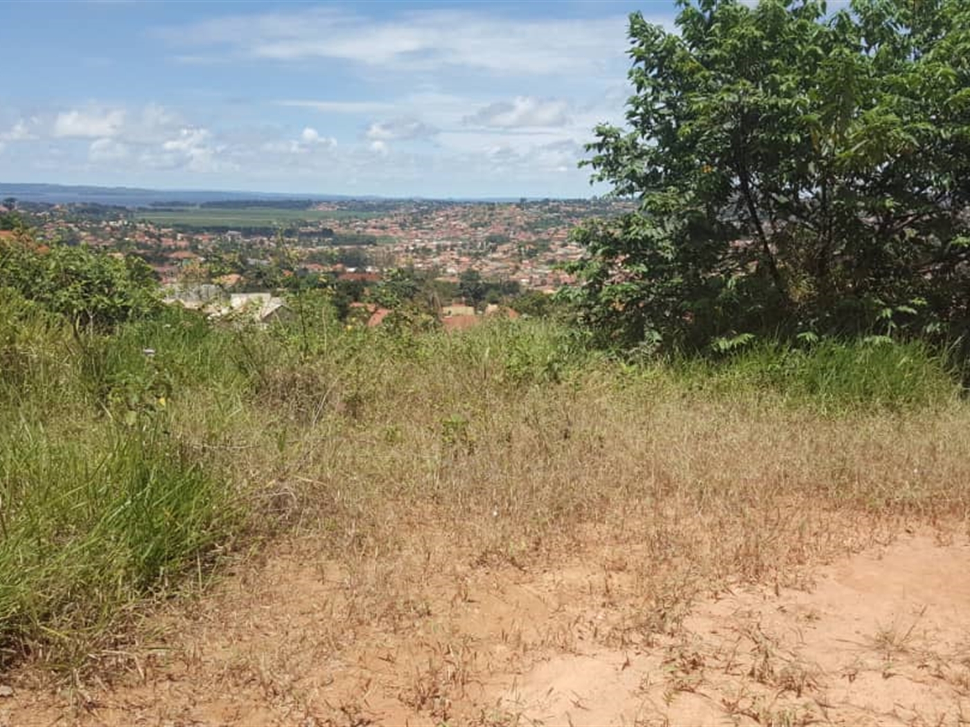 Residential Land for sale in Konge Kampala