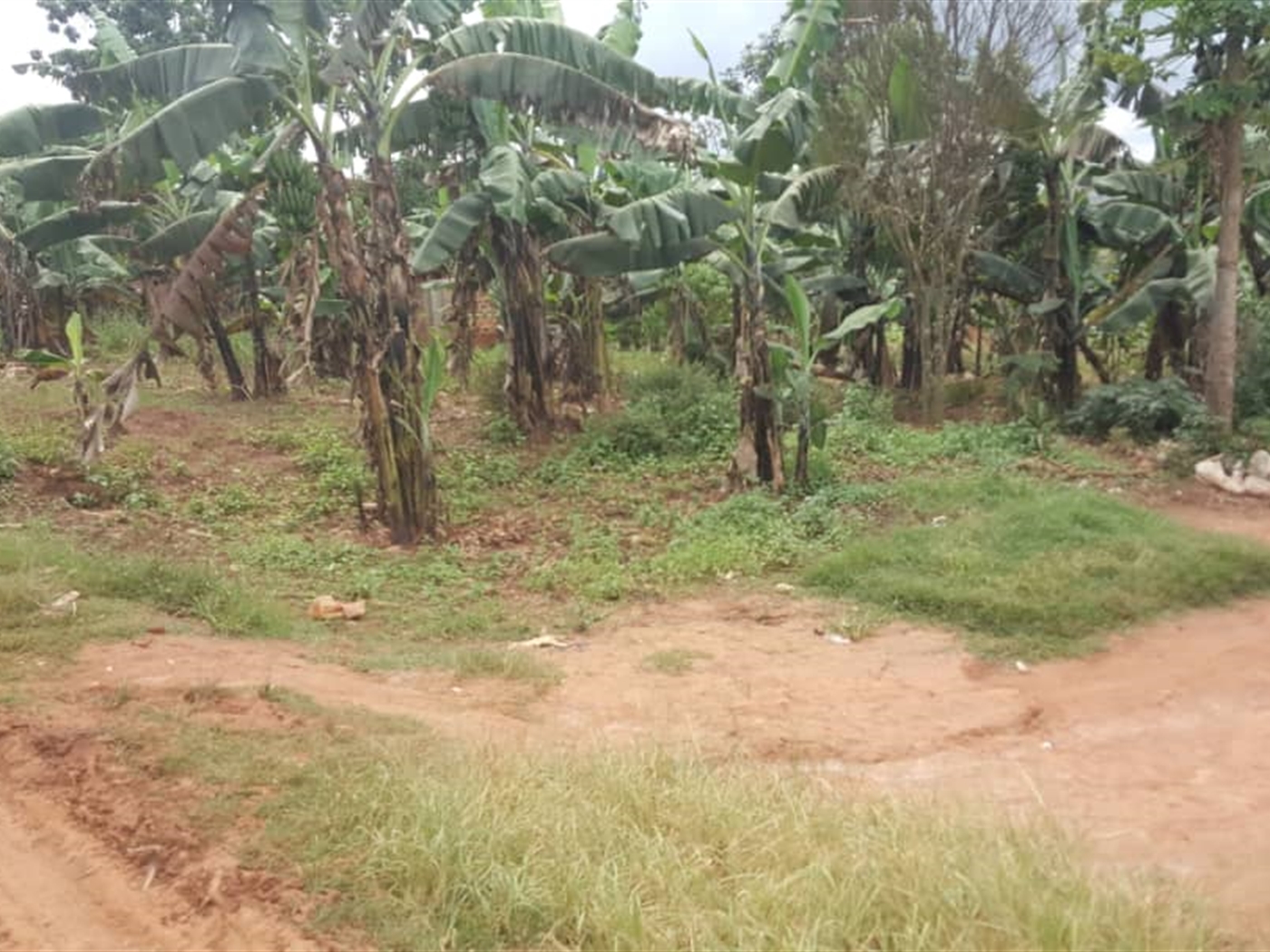 Residential Land for sale in Jungo Wakiso