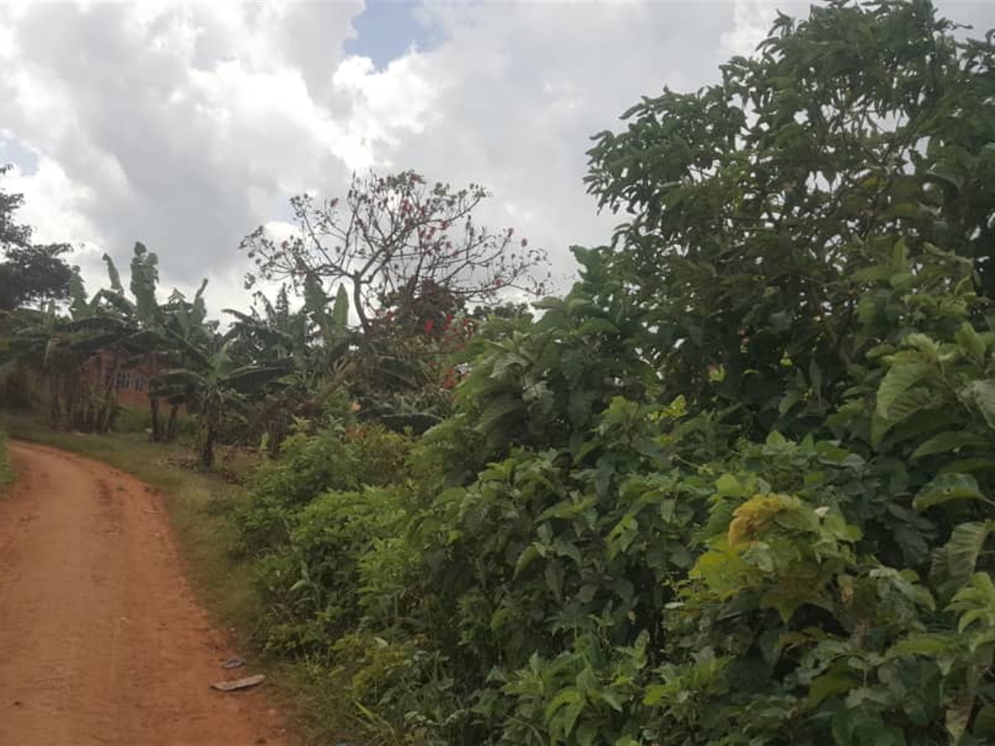 Residential Land for sale in Jungo Wakiso