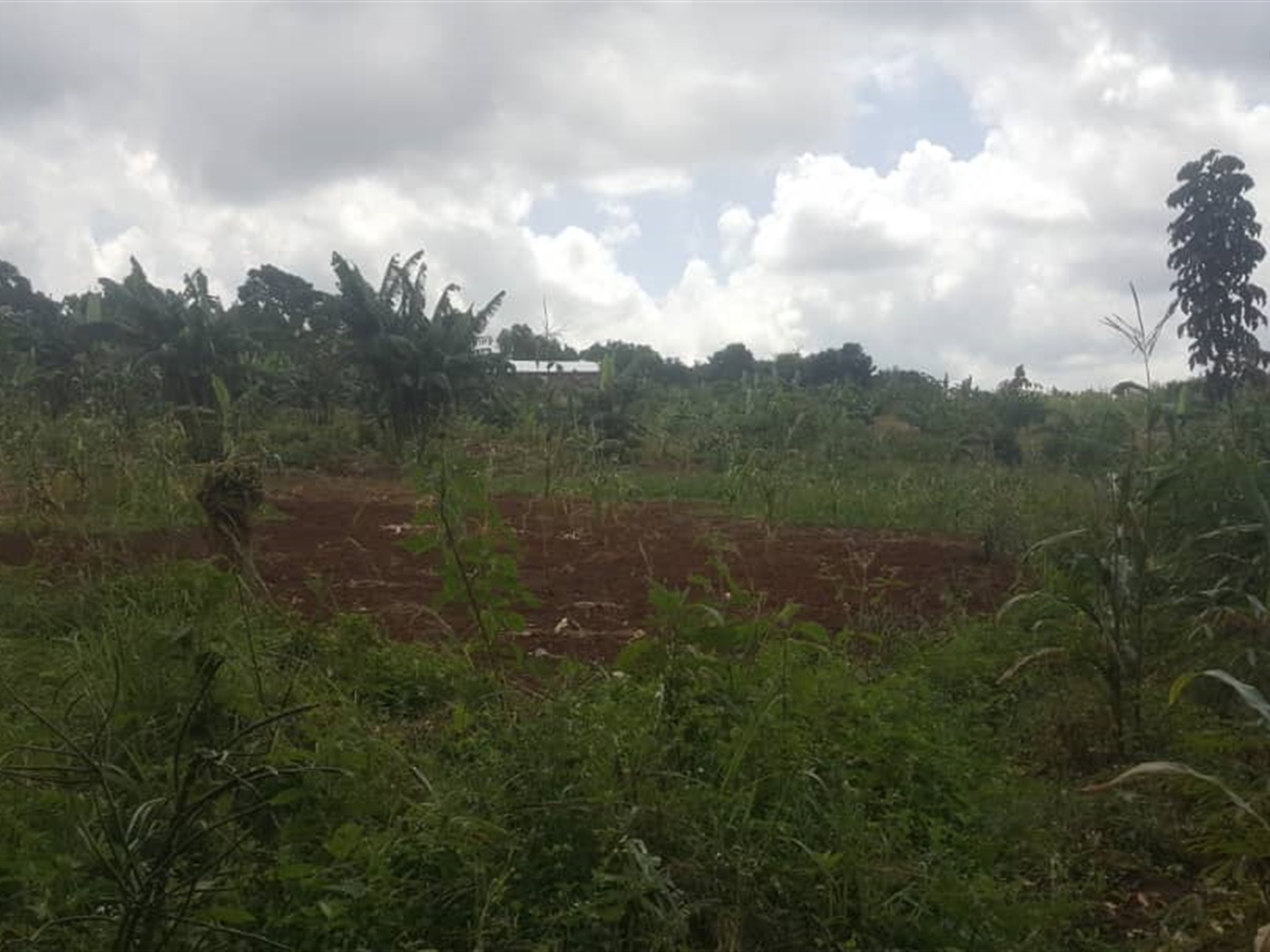 Residential Land for sale in Jungo Wakiso