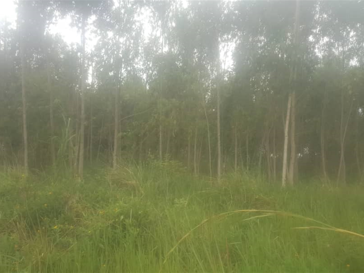 Multipurpose Land for sale in Nakawuka Wakiso