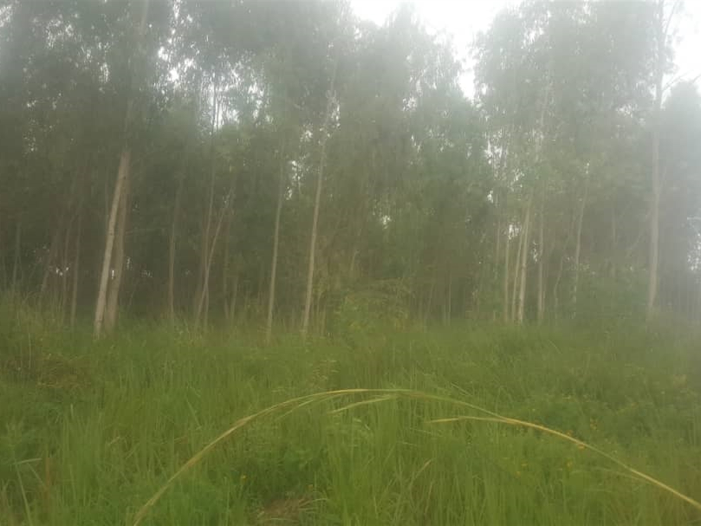 Multipurpose Land for sale in Nakawuka Wakiso