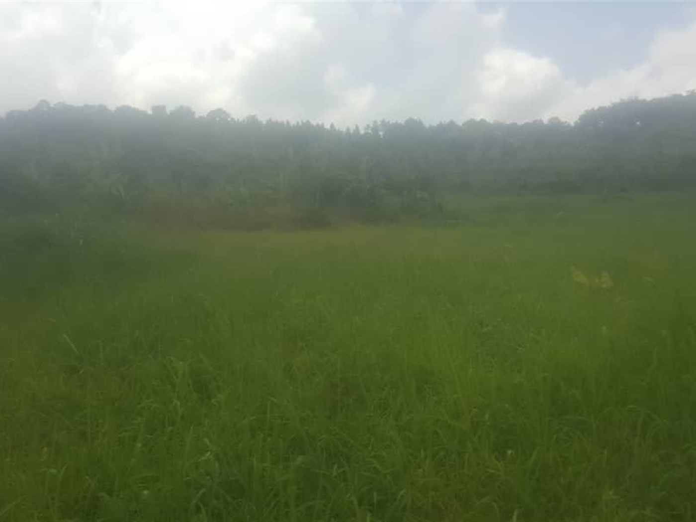 Multipurpose Land for sale in Nakawuka Wakiso