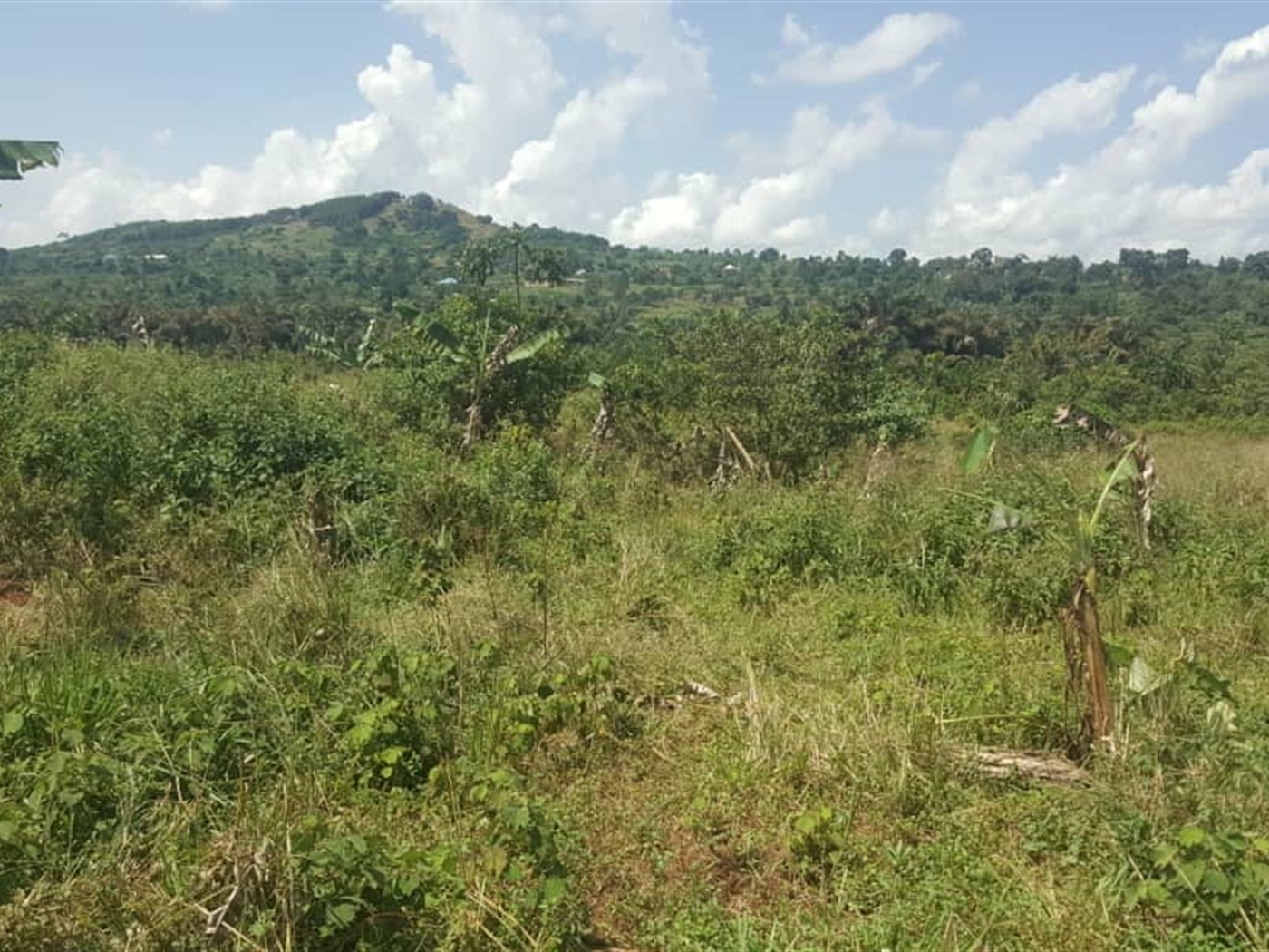 Residential Land for sale in Nakawuku Wakiso